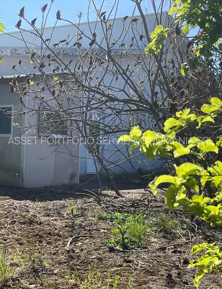 Abator pasari - Nadlac, Arad - 3