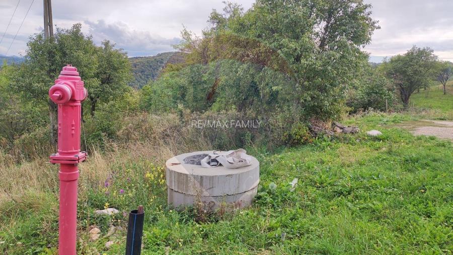 Teren constructii si faneata/livada 3082 mp Damis Bratca drum DJ 764D - 6