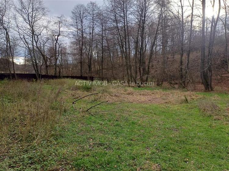 Resita, Teren Drept Intravilan, Langa Prau si Drum, 1308 Mp., 15 Euro Mp., Renk - 6