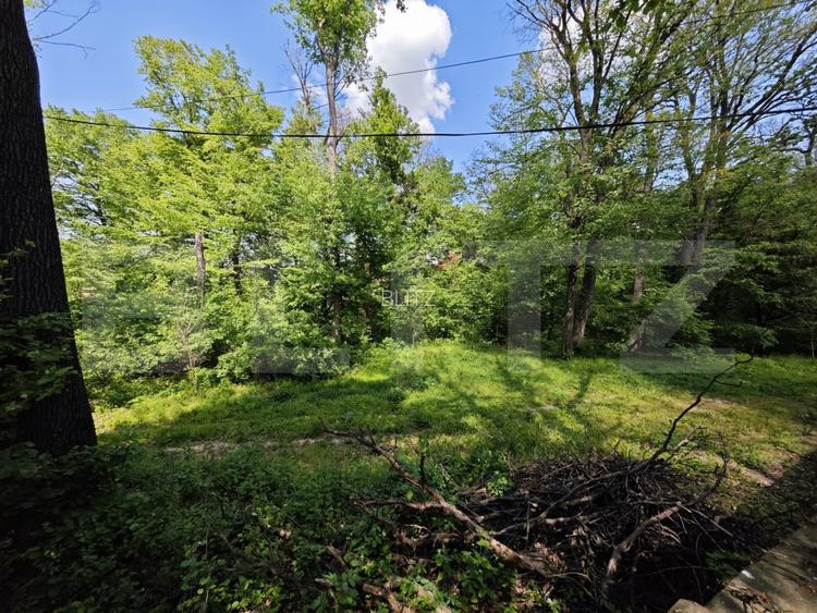 Casuta de vacanta in padure , zona Barnova  - 7