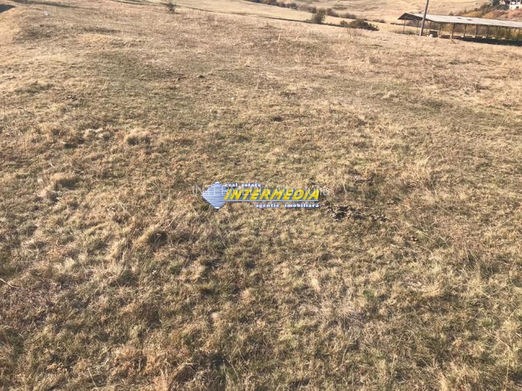 Teren intravilan de vanzare 879mp Alba Micesti - 4