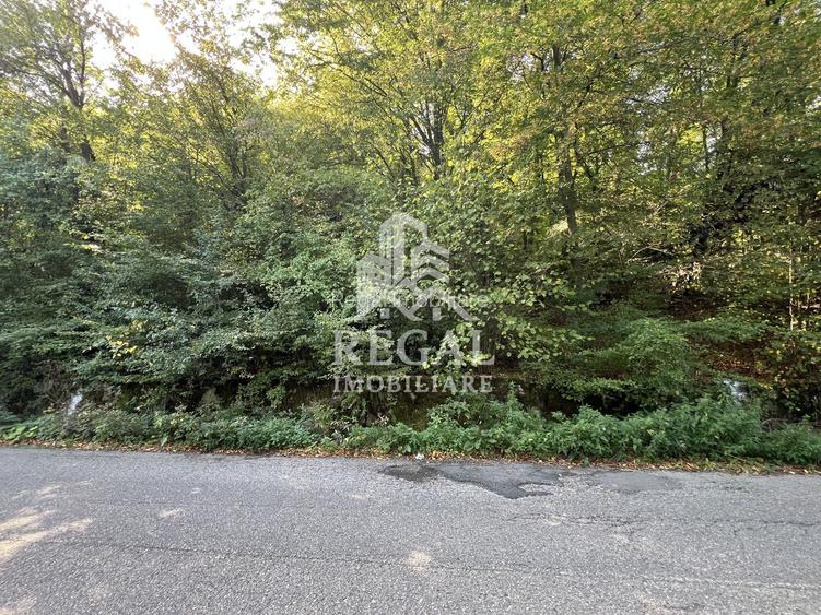 Teren extravilan de vânzare – Lacul Cinciș - 3