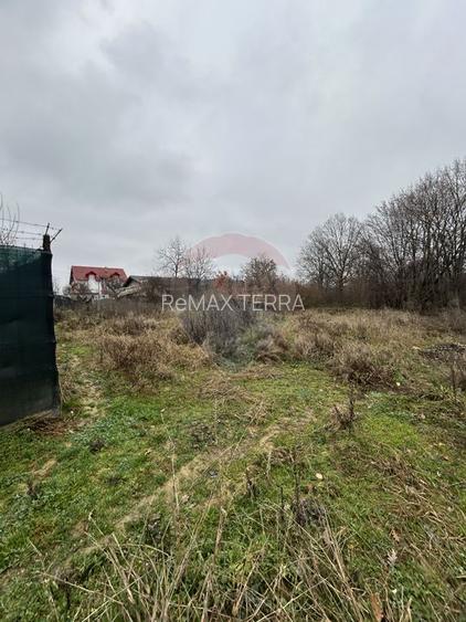 Teren 1,200mp si 400m2 cota drum Satu Nou de Jos / Strada Principala - 8