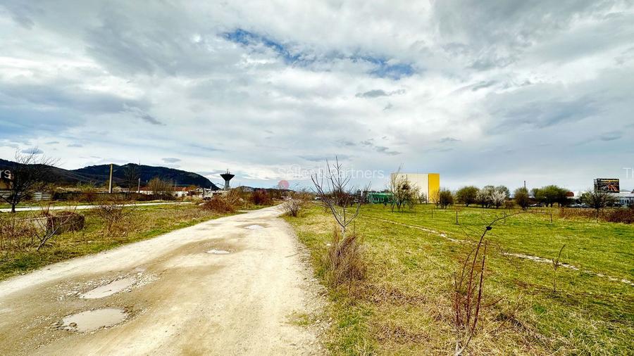 Teren Intravilan Zona Rezidentiala - 6