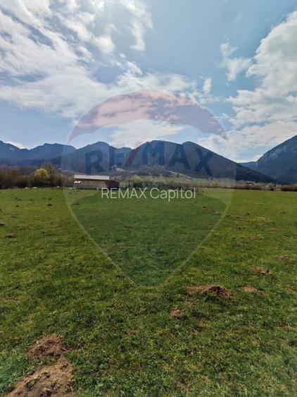 Teren 1,404mp Zarnesti / Strada FN - 5