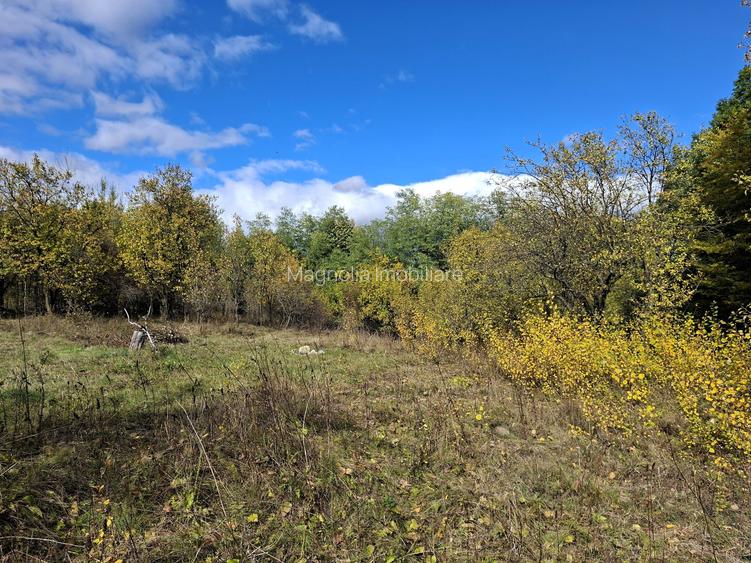 Priveliste de vis, 5 camere + anexe, teren 7000 mp, gata de mutat - comision 0%! - 11