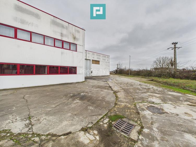 Hală de producție, cu birouri și teren, în Sebiș - 45