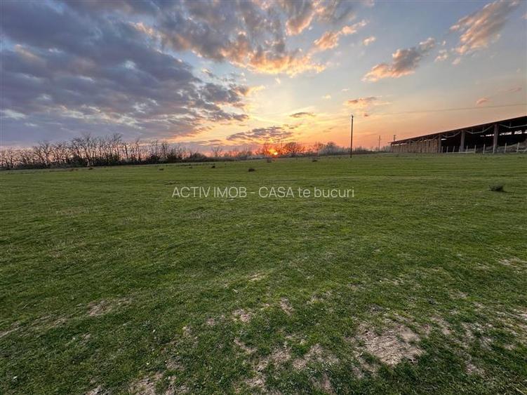 Bocsa Romana, 2 terenuri intravilan, 10.000 Mp.(59.900 Euro) si arabil, 80.000 M - 8