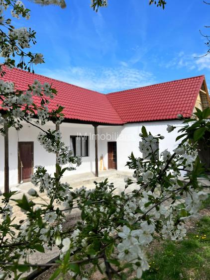 Comision 0 - Centru - Sanandrei - Casa renovata + teren 1850 mp - 4