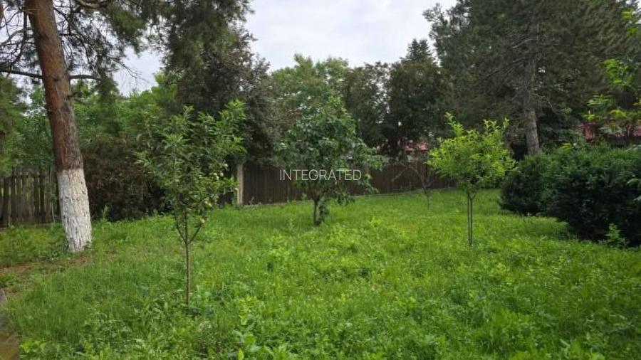 Casa 600 mp + Teren 2.231 mp ~ Pasarea ~ Branesti - 9