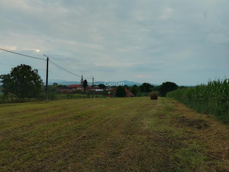 Teren invilan de vanzare - 9