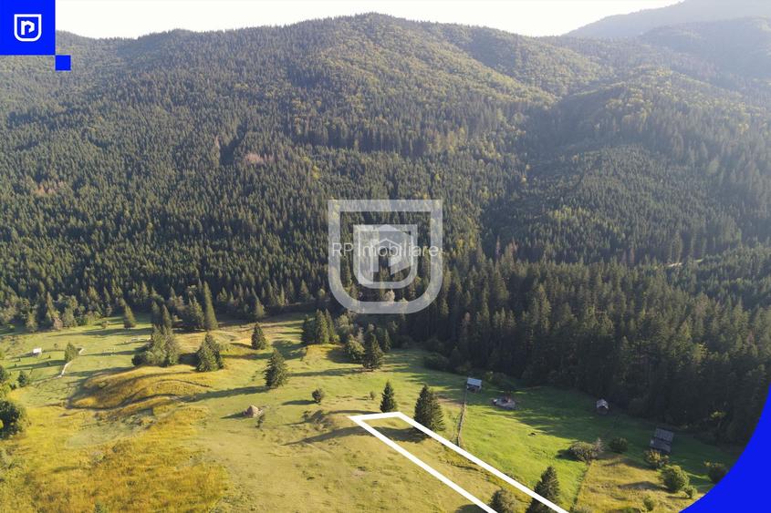 Teren situat in Frasin | BUCOVINA - 2