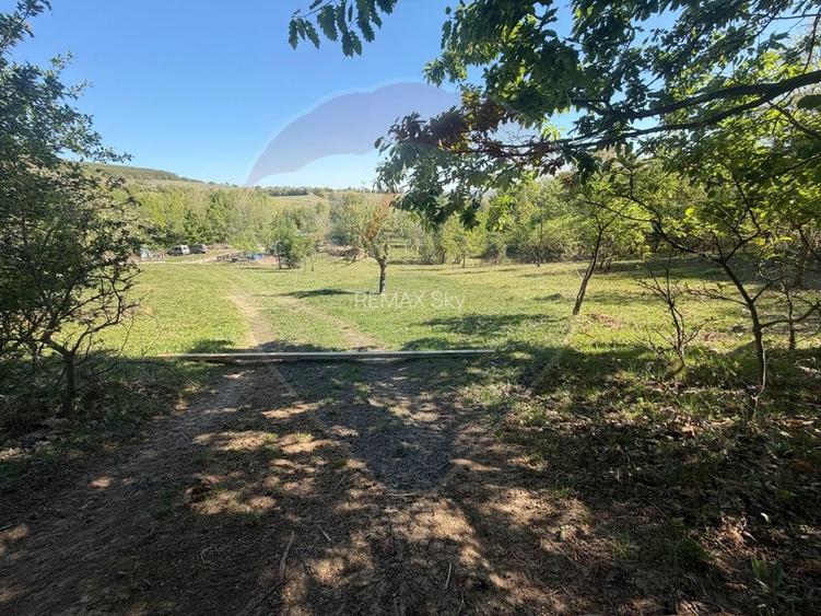 Teren extravilan 6.322 mp, împrejmuit, aproape de stadion Cugir, jud. - 9