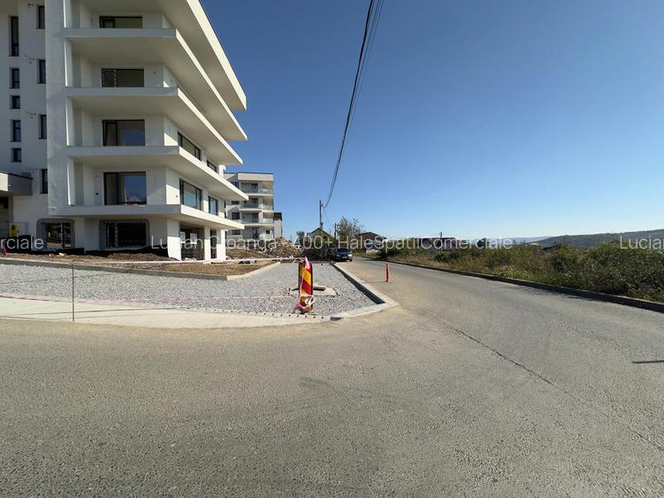 Spatiu 250mp, Pacurari - Valea Lupului - Sedes - 7