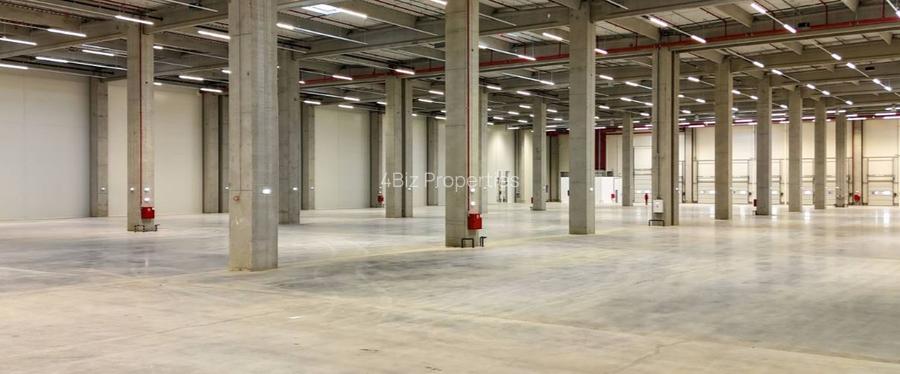 Hale de inchiriat - diverse activitati - ELI Park Bacau, COMISION 0% - 4