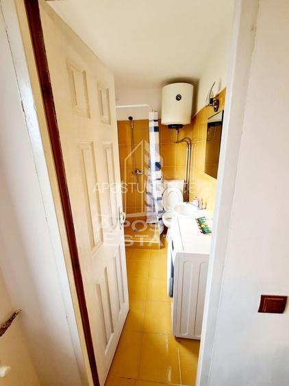 Garsoniera Buziasului - 10