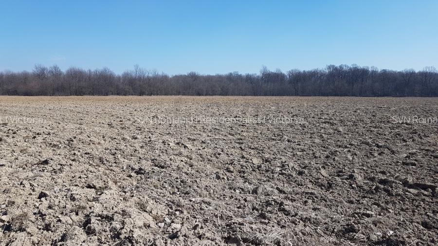 REL4001203 Oportunitate I Teren Intravilan 30.000 mp I Racari I Dambovita - 4