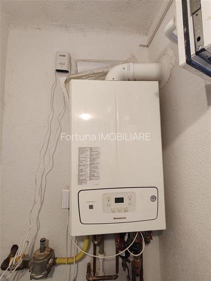 Casa singur in curte - Florilor - 5