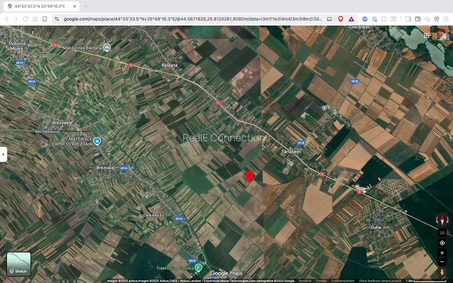 Teren extravilan 10.000 mp Tartasesti Dambovita - 4