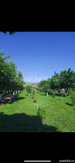 Casa de vanzare in Calan - 4