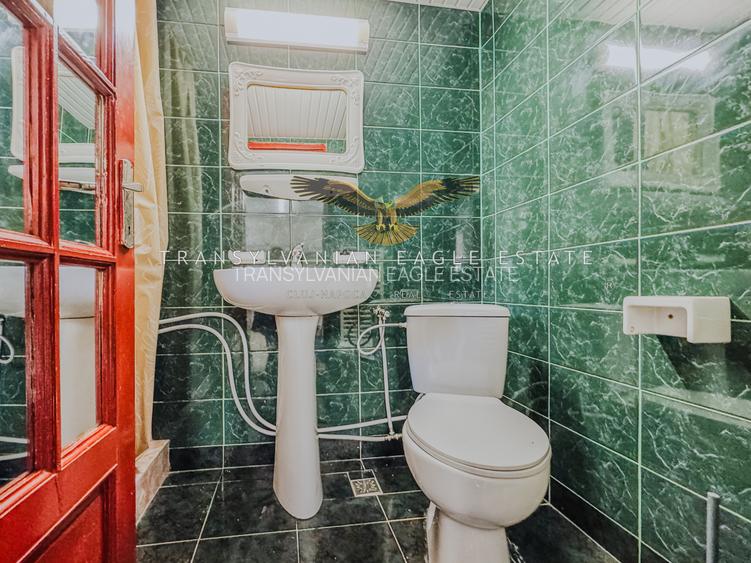Apartament cu 2 camere|50 m2|Str Decebal/Centru - 13