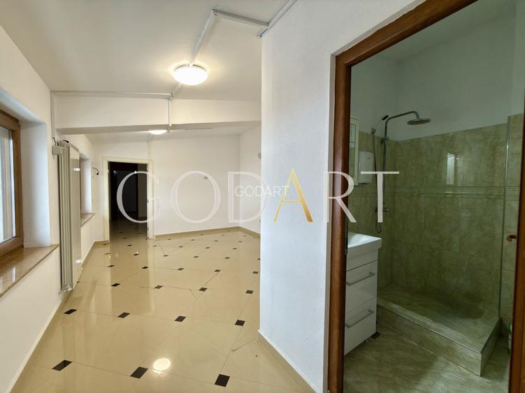 VILA ELEGANTA | CARTIERUL DOMENII - 12