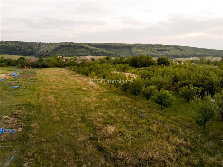 RECO Teren intravilan de vanzare Betfia, Bihor - 3000 mp, front stradal 20 m - 9