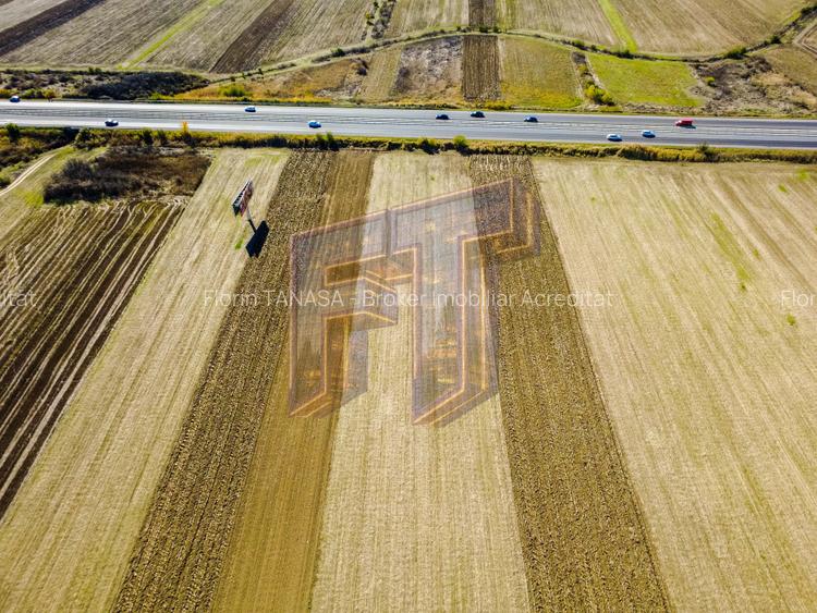 Terenuri industriale cu deschidere la A1, km 64 – Jugureni, Dâmbovița - 7