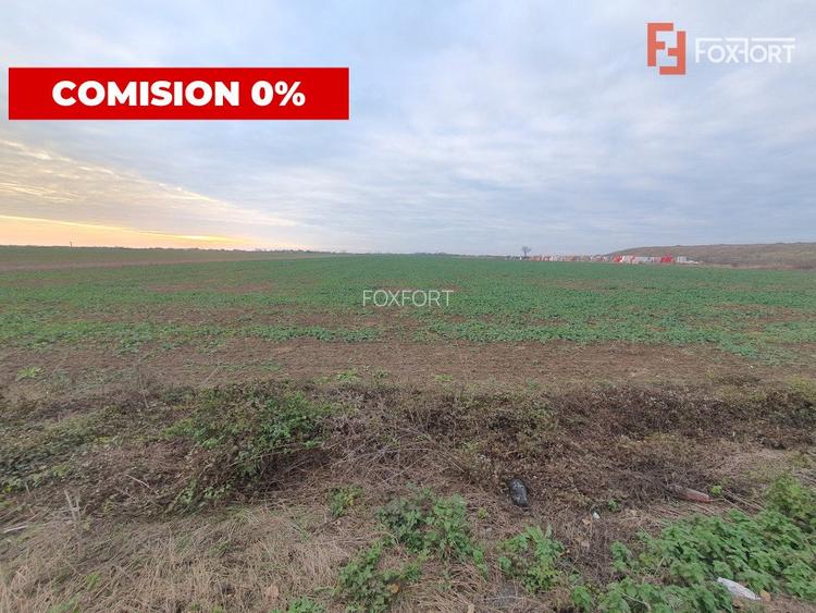 COMISION 0% Teren extravilan agricol 10.000 mp la sosea in Sag - 2