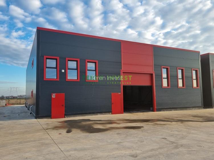 VANZARE HALA INDUSTRIALA - FRUMUSANI - 9