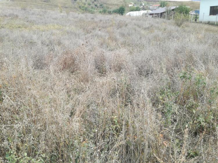 Vand teren in Iris - 2