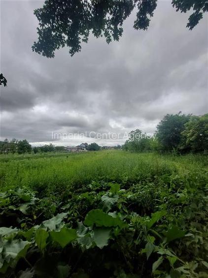 TEREN DE VANZARE IN EXCLUSIVITATE IN ONESTI PE STRADA REDULUI 7028 MP - 4