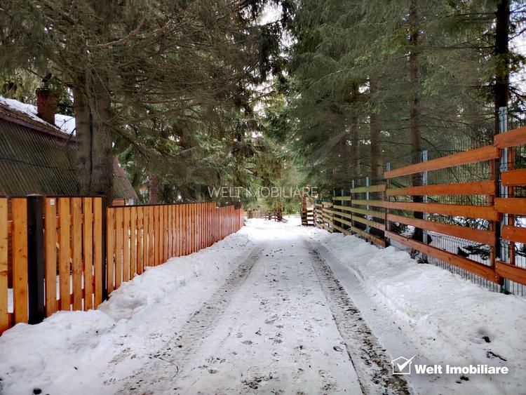 Cabana din lemn moderna, locatie de vis intre brazi – Marisel, Apuseni - 22