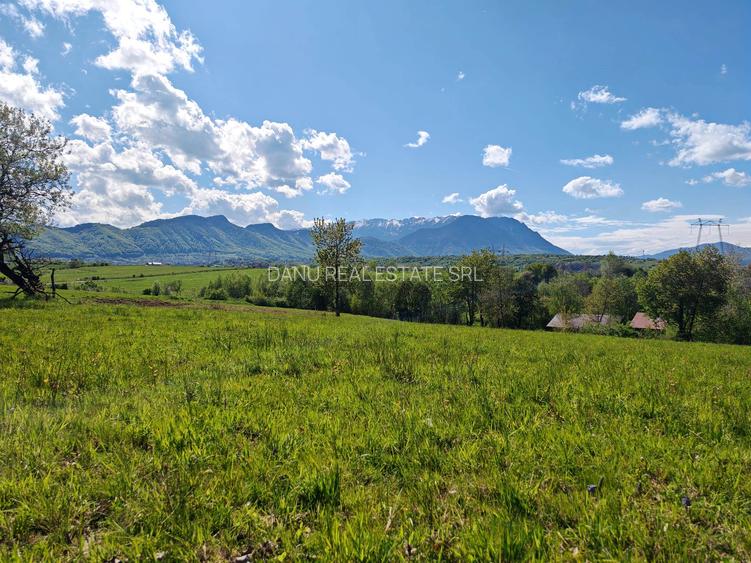 Bran Sohodol,5783 mp,P+E+M-Ideal pensiune /proiect turistic,Comision0% - 8