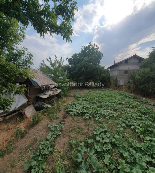 Teren 1100mp la 30 km de Bucuresti - 5