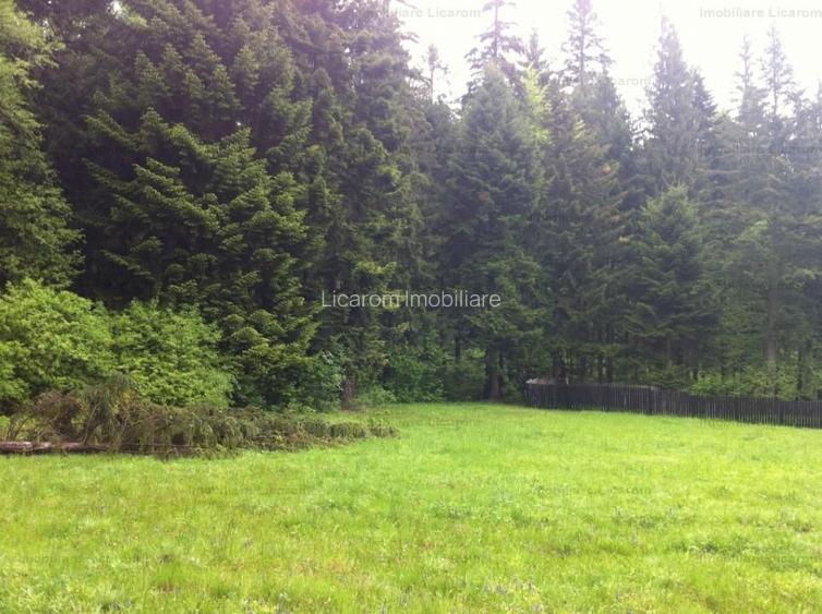 Teren intravilan Cotul Donului,pretabil Hotel/pensiune. - 9