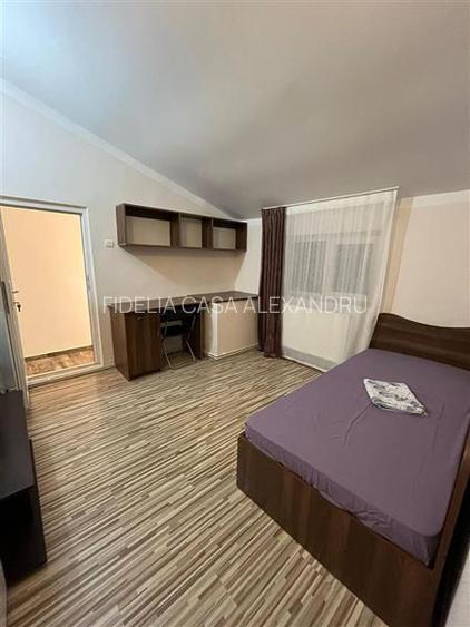 Apartament cu 3 camere  de vanzare  Tg Cucu - Podul de Fier, - 5