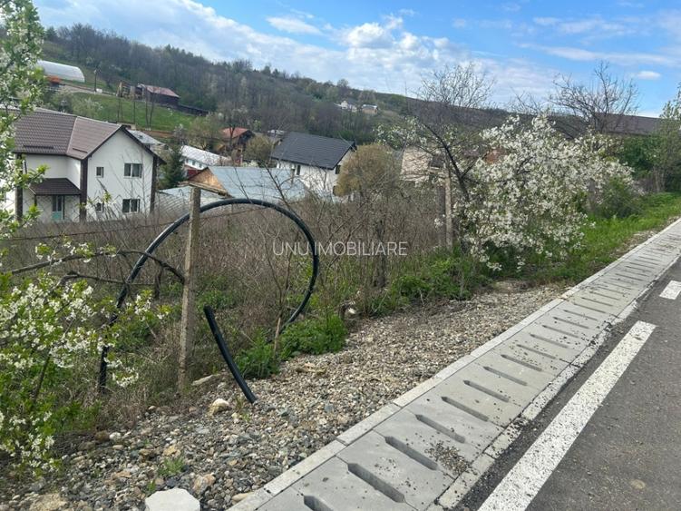 Teren intravilan 1000mp Valea Lupului la 1,5km de E85 apa canalizare PE TEREN! - 7
