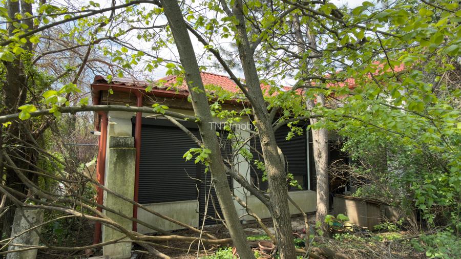 Teren Intravilan 3000mp | Parcelat | 2 parcele ramase din 3 ! | Doua Deschideri - 22