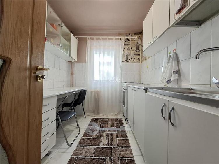 Apartament 2 camere, mobilat si utilat, interesctia Podu de Fier - 10