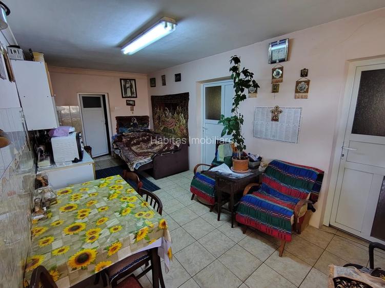 Casa unifamiliala 120 mp utili,  cu 477 mp teren, garaj, Dambul Rotund - 16