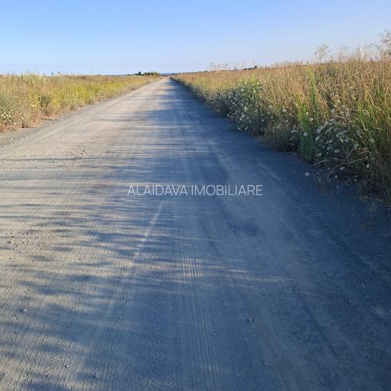 Corbu-faleza-loturi de 515mp - 3