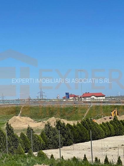 Hala situata in Ovidiu - 4