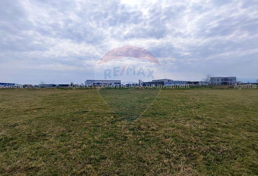 Teren de vanzare zona industriala Sura Mica - 5