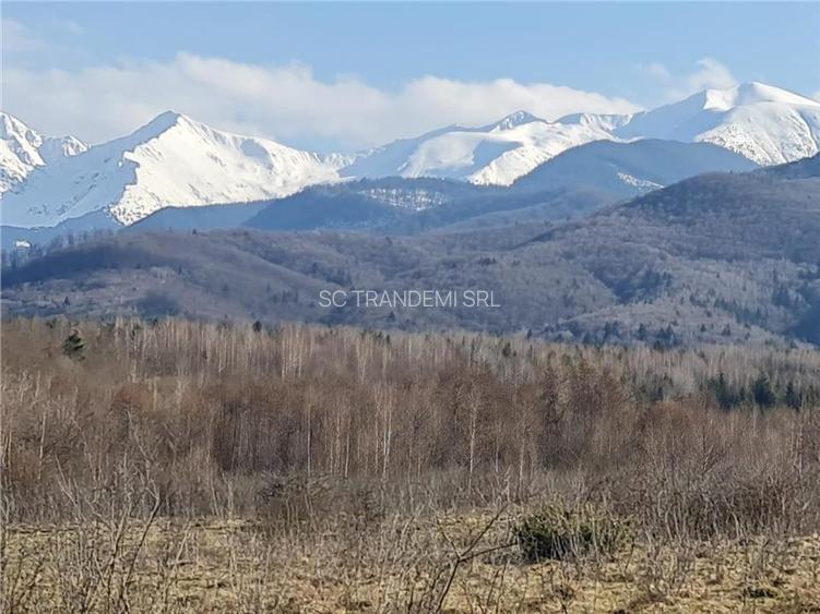 Teren intravilan 2500mp  pe Valea Avrigului,optim casa de vacanta - 9