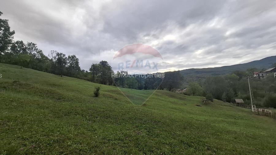 Teren cu priveliste spectaculoasa, 4000mp, la 18km de Sinaia - 5