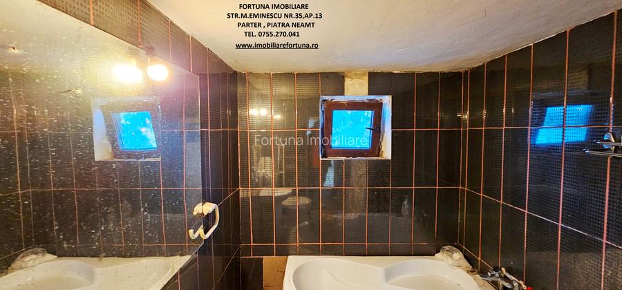 Proprietate situata la 10 minute de oras, com.Dumbrava Rosie - 6