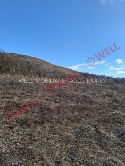 Teren de vânzare în Fântânele – locație excelentă! - 8