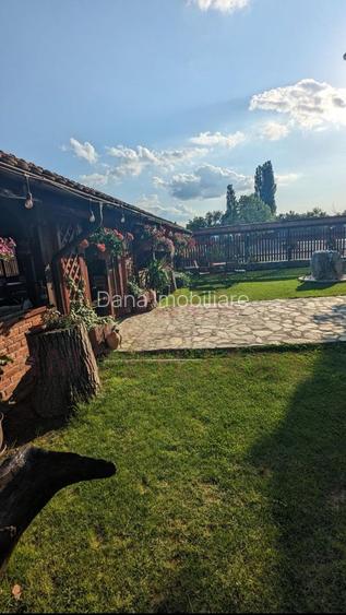 CASĂ\VILĂ DE VÂNZARE \COM. OBREJA\SAT IAZ\CARAȘ-SEVERIN - 5