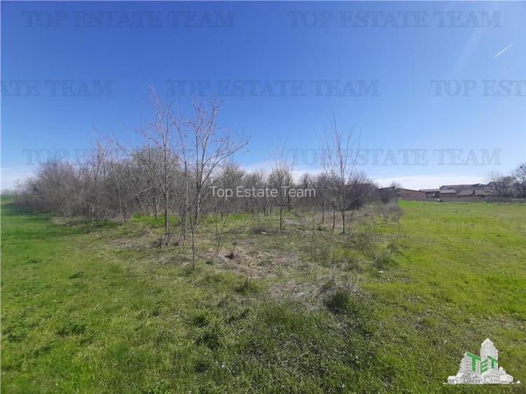 Teren 4000 mp + casa demolabila in Bragadiru/Varteju (Magurele) - 10